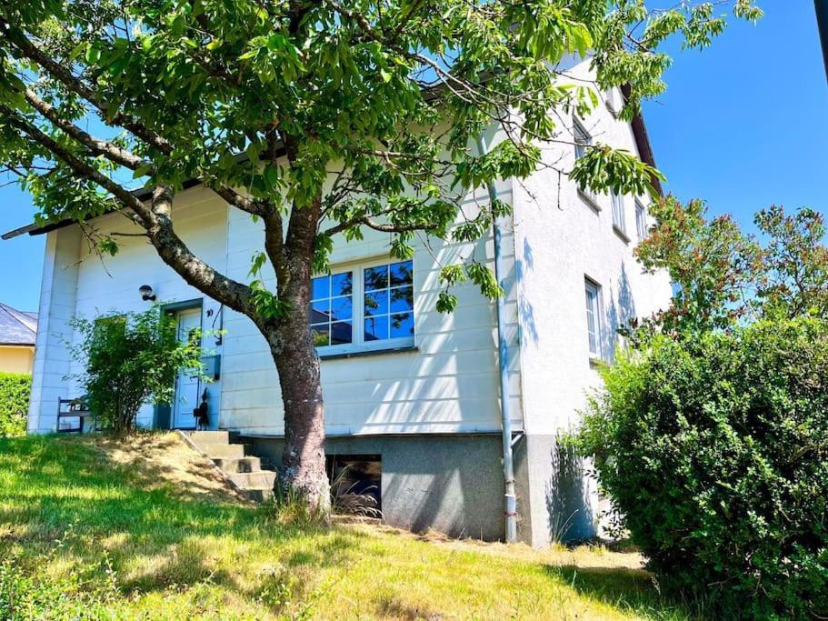 Haus Caroline Villa Hallschlag Eksteriør billede